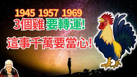 1969屬雞2024運勢|不同年份生肖雞運勢及運程2024